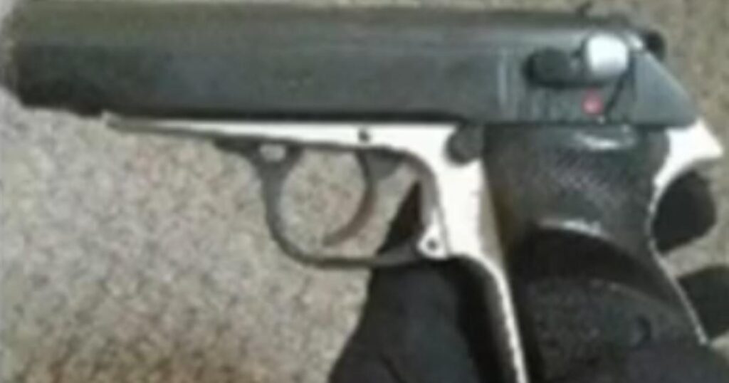 Images gun used in hitman James Richards murder plot on Ryan Carvill