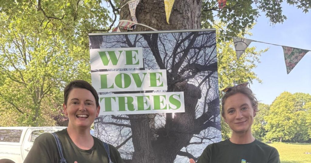 Day of poetry, music and family fun at Preston Park event