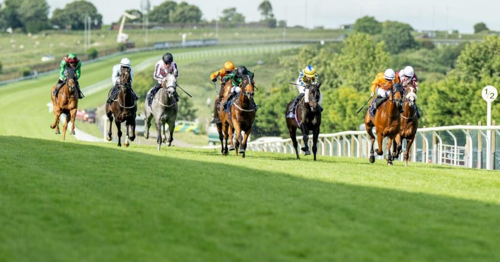 Racing to return to Brighton Racecourse after disruption