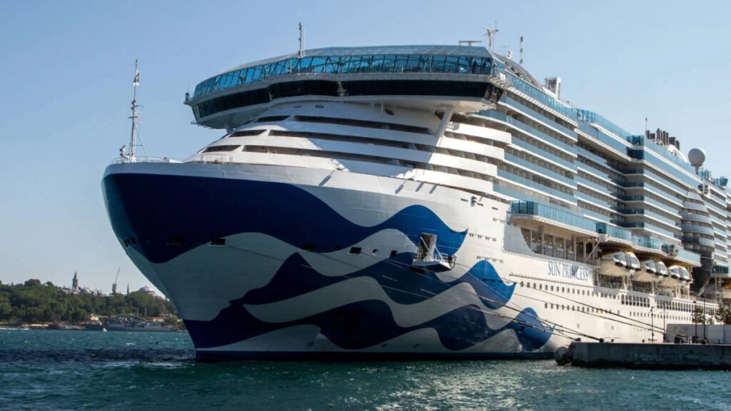 Cruise Guest Shares Emotional Plea Over Stolen Door Magnets