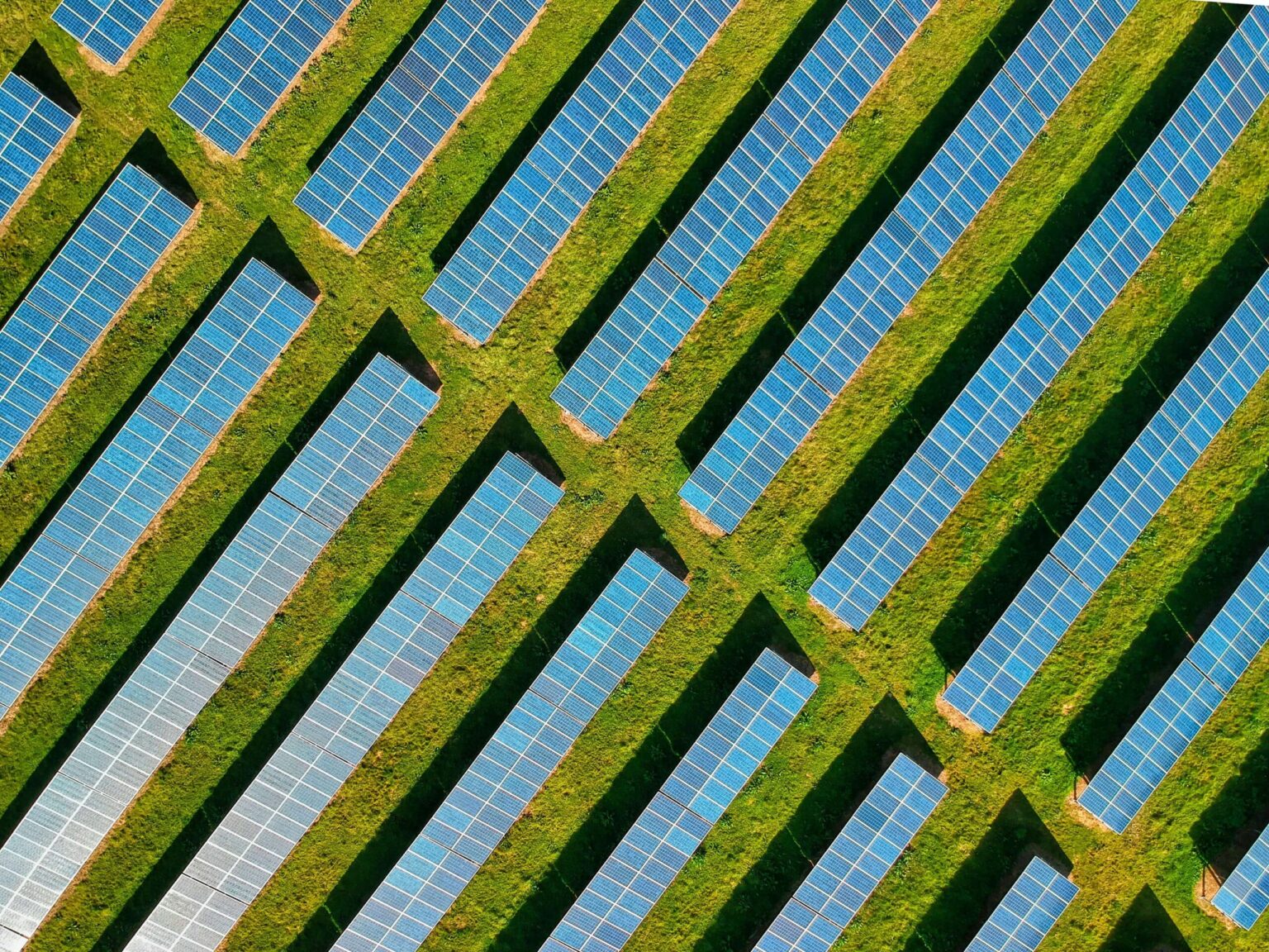 Top Sustainability Startups In China