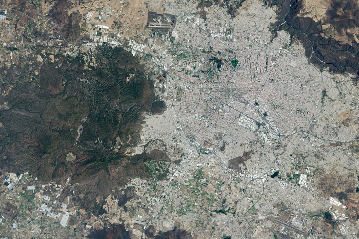 World Cup Fever in Guadalajara