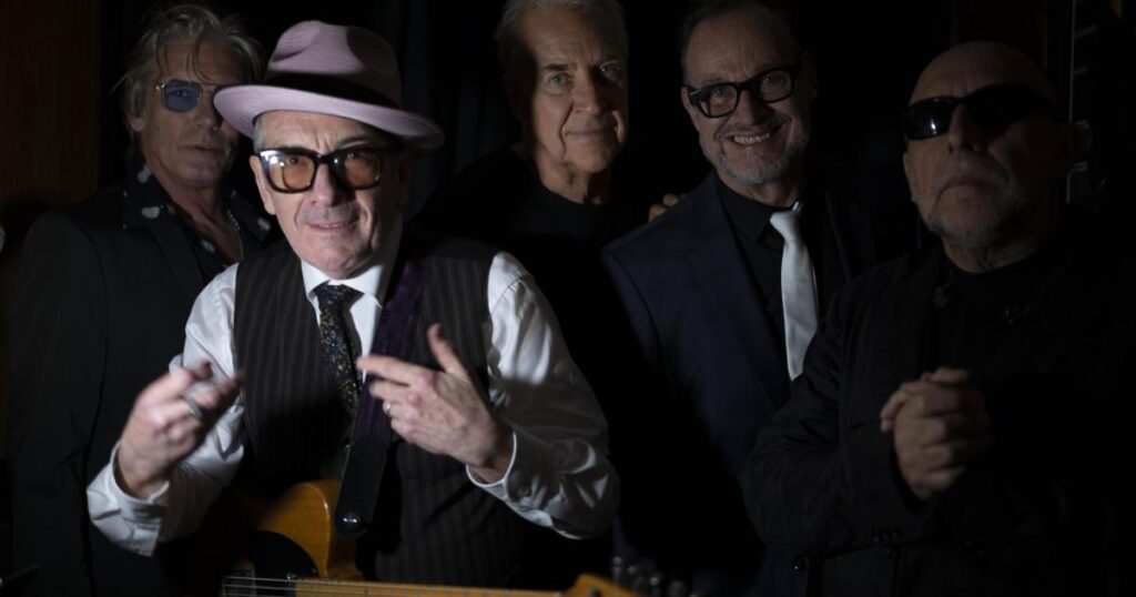Elvis Costello pumps it up at the Dome in Brighton