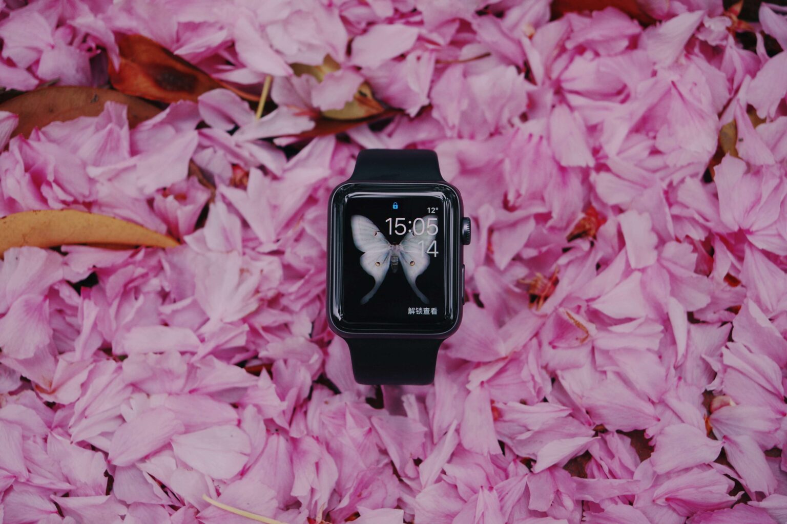 Apple Just Added Menopause and Perimenopause Support to the Health App