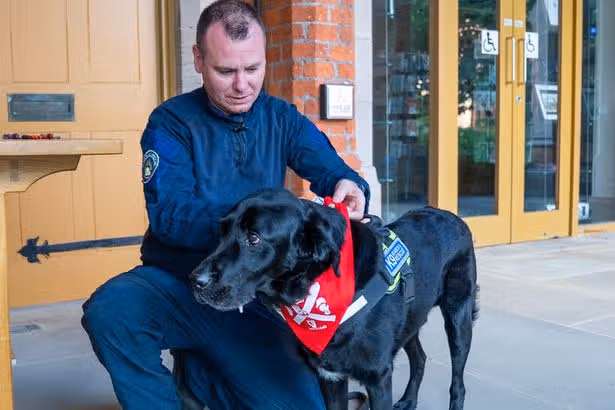 Rescue dog and pygmy goat among graduates at Queen's University Belfast pet ceremony