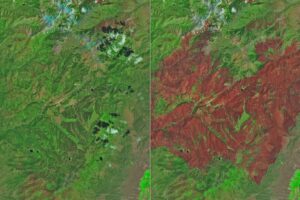 Cottonwood Fire Chars Utah – NASA Science